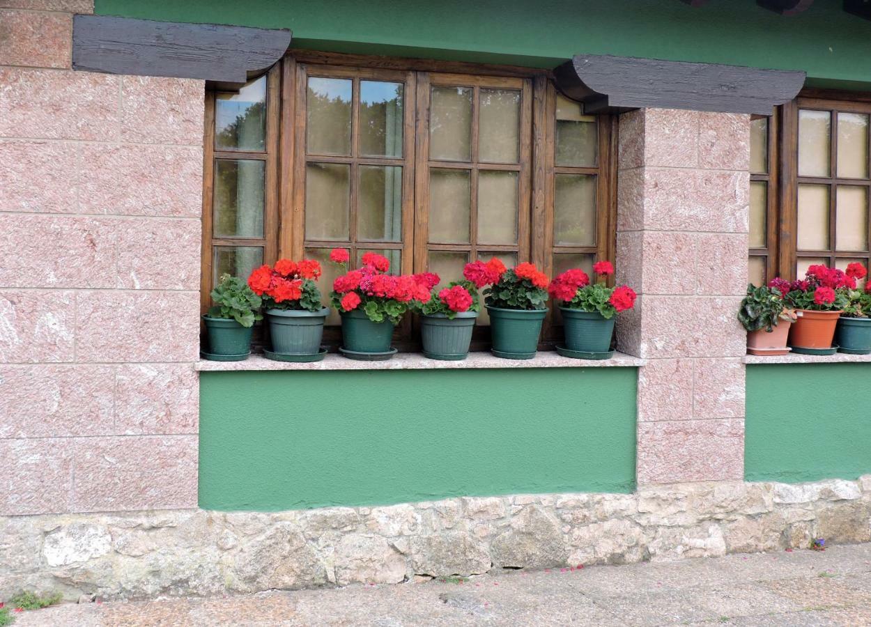 La Escuela De Ferienhaus Premio